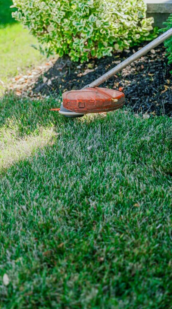 Lawn Care Subscription