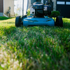 Lawn Care - Image 1