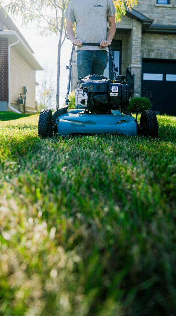 Lawn Care