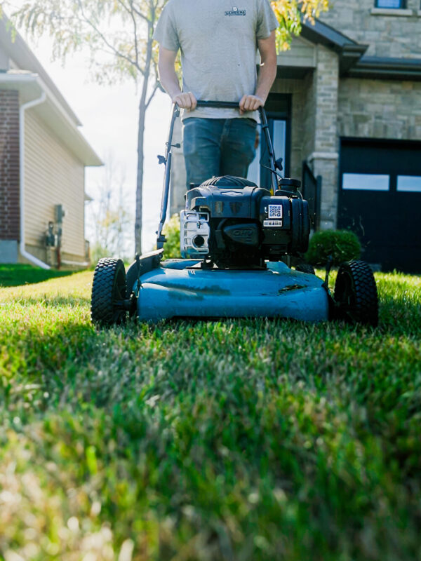 Lawn Care Subscription