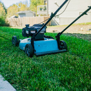 Lawn Care - Image 7