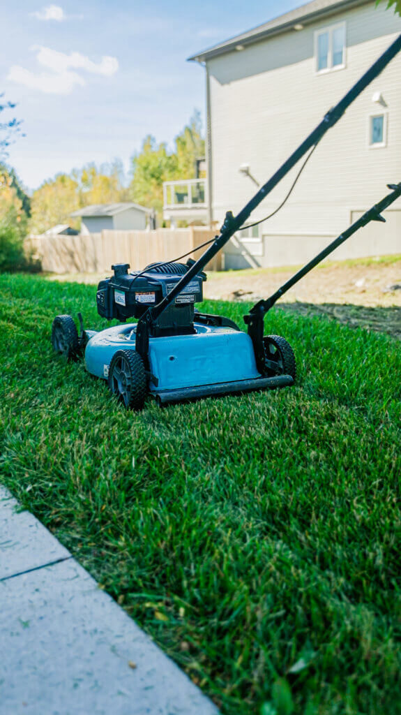 Lawn Care Subscription