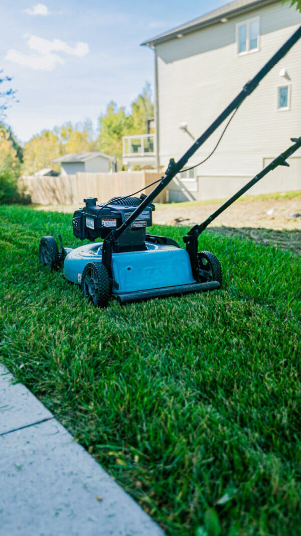 Lawn Care Subscription